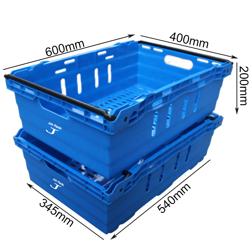 Related Product