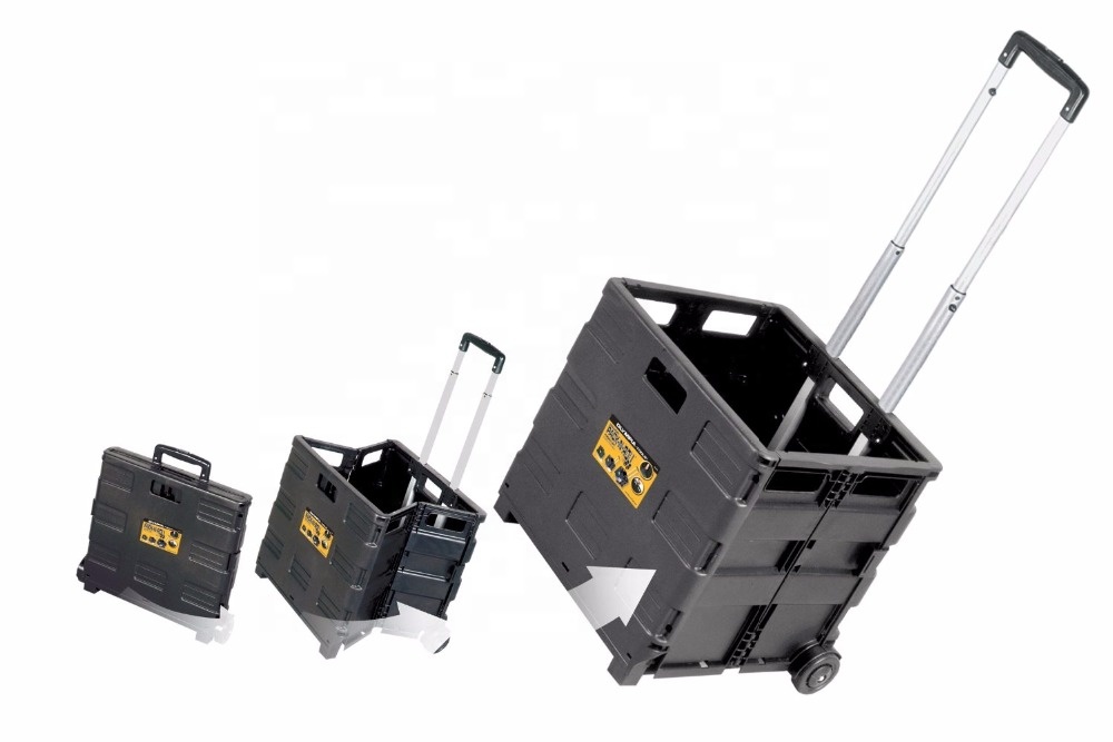 Related Product