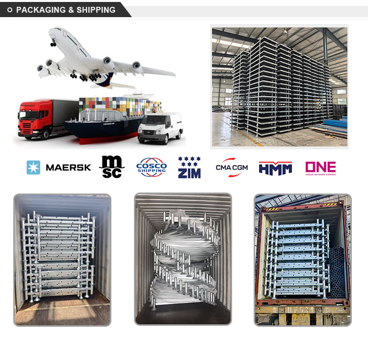 Packaging & Export Loading