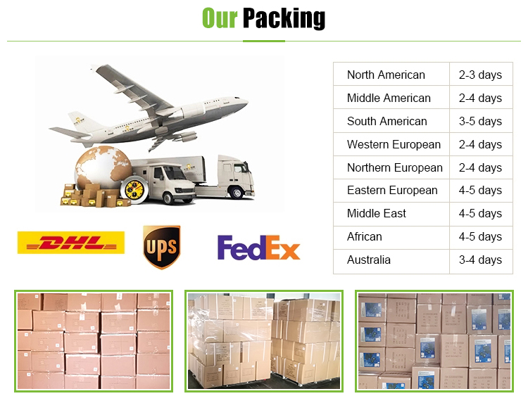 Packaging and Shipping Process