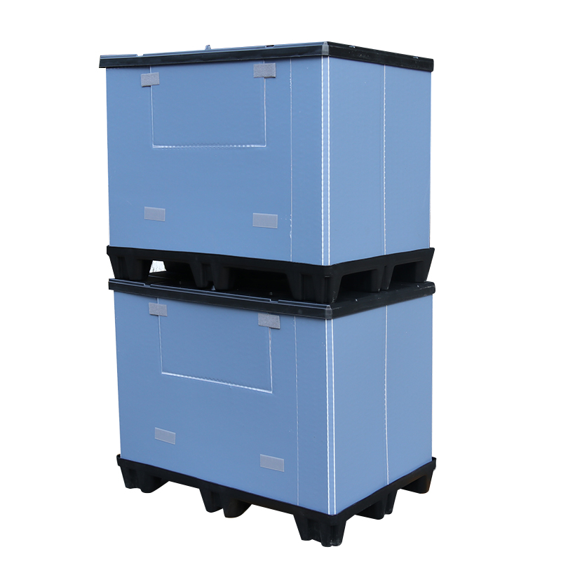 Related Product