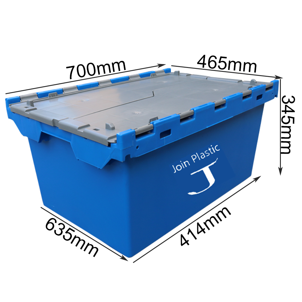 Related Product