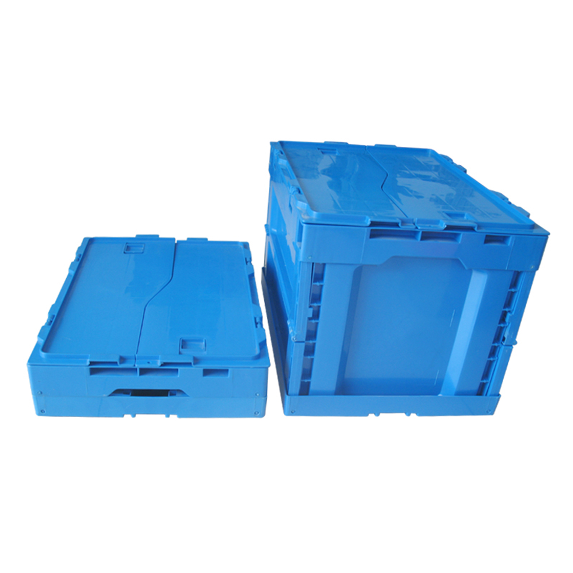 Related Product