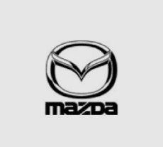 Client partner logo