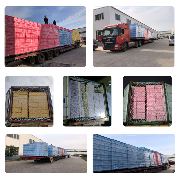 Packaging and Shipment Logistics